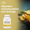 BANDINI Bandini? Bromelain 180 Capsules 1000mg | 2500GDU High Strength