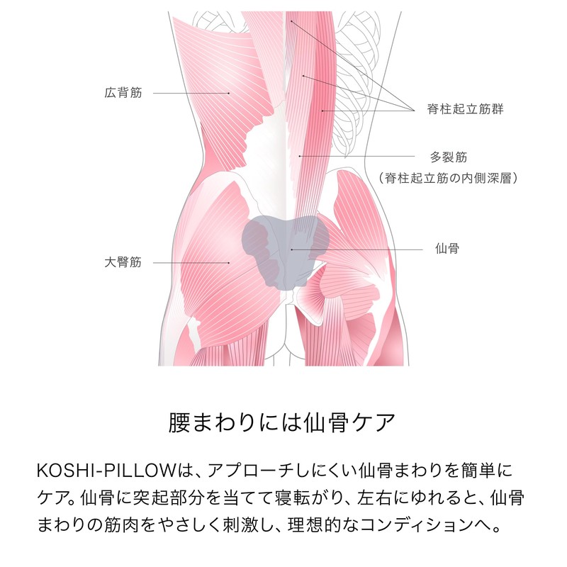 & Medical KOSHI-PILLOW (Koshi Pillow) for Lower Back Posture, Stiffness