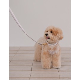 Rikarika [리카리카] 브리즈 워크 핸즈프리 리드줄 3종 (택1) [LiCarica] Breeze Walk Hands-Free Leash 3 Types (Choose 1)