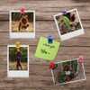 Pins for Pin Board, Pack of 30 Creative Push Pins