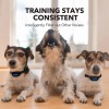 universal 10Pc Dog Bark Control Shock Collar Two Safe Training