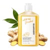 Champú Anticaída Quarxery Shampoo De Jengibre 240 Ml