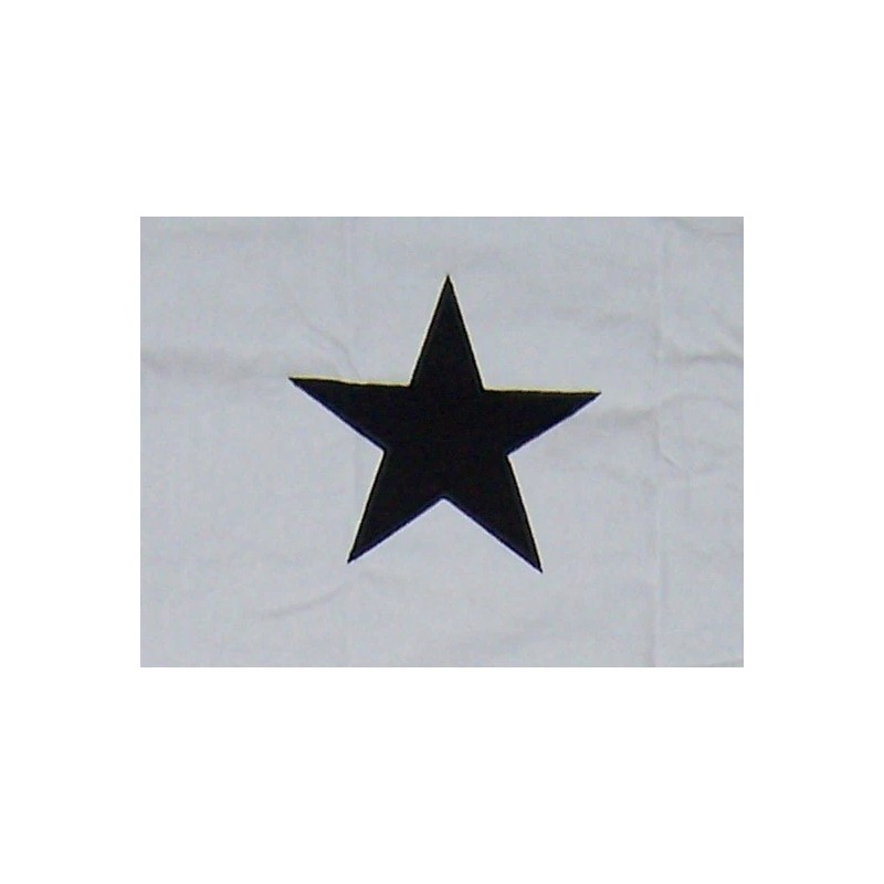 GONZALES GONZALEZ TEXAS COME AND TAKE IT FLAG 3x5 ft