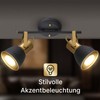 ARTE LAMP Ceiling Light for 2 LED Lamps - Ceiling