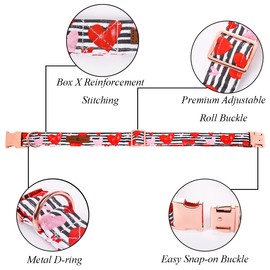 Lionet Paws Valentine's Dog Collar with Felt Flower, Dog Flower Collar with Metal Buckle for Dogs and Cats, Adjustable Comfortable Dogs Collars Girl, XS, Neck 8-12 in