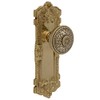 The Wells Dummy Set in Polished Brass - Select Door