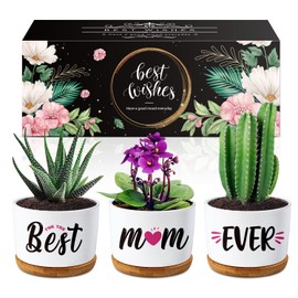 Gifts for Mum, for Mum Succulent Planters Pot, Mum Birthday Gifts from Daughter or Son, New Mum/Step Mum/Mummy Gifts for Birthday Christmas with Beautifully Gift Boxed