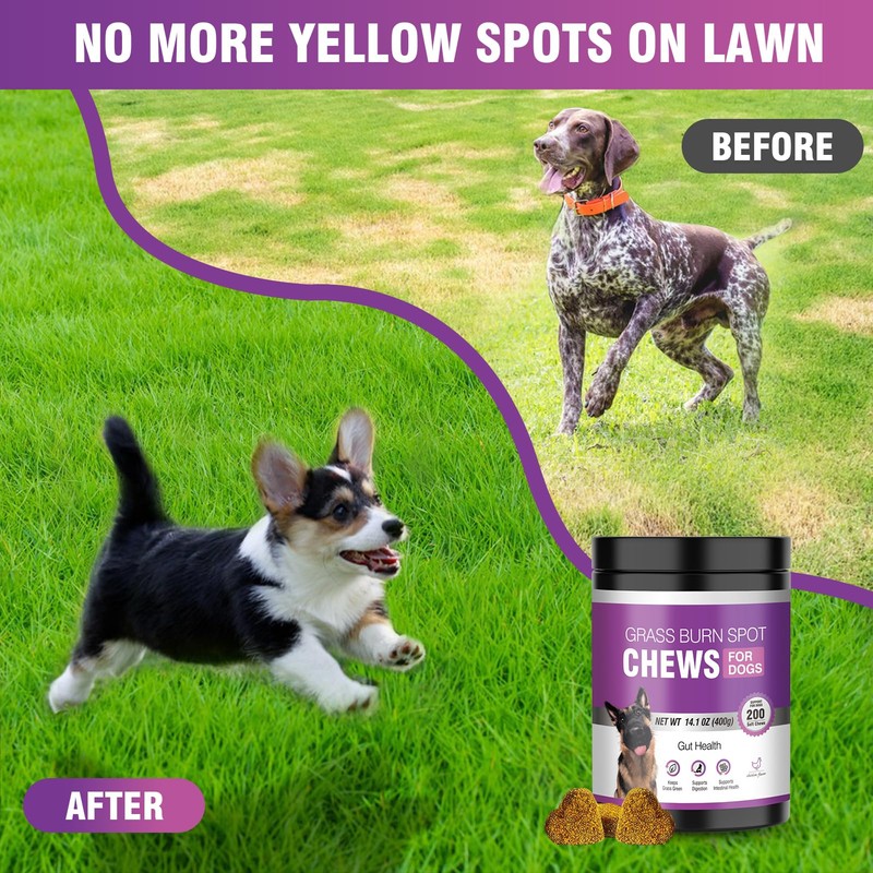 Grass Burn Spot Chews for Dogs 200 Count, Cranberry for