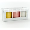 QVC HomeWorx by Slatkin + Co. 3pc Delectable Deserts Candle