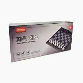 자석 체스 : 토이저러스