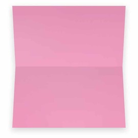 Pink Place Cards - Flat or Tent Style - 10 or 50 Pack - White Blank Front Solid Color Border Placement Table Name Dinner Seat Stationery Party Supplies Occasion Event Holiday (10, Tent Style)