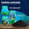 Lomas CARBON ACTIVADO 450 G.