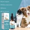 Dog Nutritional Supplement | Pet Body Care Nutrition - Health