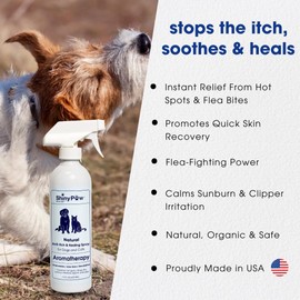 Dog Itch Relief Spray by Shiny Paw 16 oz | Aloe Vera & Eucalyptus Skin Itch Remedy | Dog Hot Spot Spray | Natural Anti Itch Spray for Pets | Dog Itchy Skin Relief | Made in USA