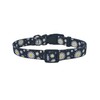 Ovale Dog Collar and Leash Combo Set, Daisy Floral Pattern,