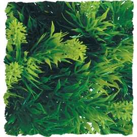 Zoo Med Laboratories SZMBU23 Natural Bushy Malaysian Fern, Medium
