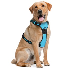 Dog Harness (Medium, Blue) for Running, Hiking & Training, Soft-Padded & Adjustable No-Pull Design Pet Harness W/2 Leash Clips & Reflective Strips for Safety, by EcoEarth