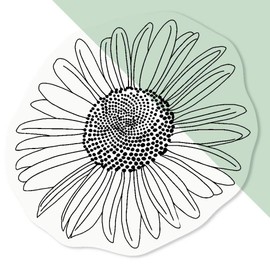 Azeeda 4 x Klein 50mm 'Marguerite Daisy' Permanente Transparente Aufkleber für Fenster/Autos/Wände/Skateboards etc (DC00126572)