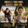 Pure Himalayan Shilajit Gummies for Men – Energy & Focus