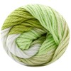 Premier Yarns Yarn Home Cotton MLT STR, Sprout Stripe