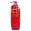 [Lungs_62] Red Flo Camellia Scalp Care Hair Shampoo 700ml (46376084) / [룽스_62]레드플로 동백 두피관리 헤어 샴푸 700ml (46376084)