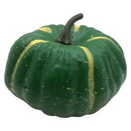 Black Duck Brand Set of 10 Pumpkins & Gourds Harvest Decorations - Great for Table Decor and Festive Baskets!