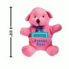 Fun Express 4 1/2" Brightly Colored Prayer Stuffed Bears with