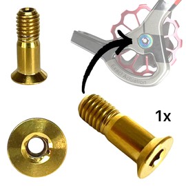 F26 Titan M5 x 15 mm Bicycle MTB / Road Bike Rear Derailleur Shift Wheels Tuning Hollow SL Screw (Gold)