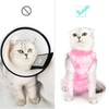 Cat Recovery Suit for Male and Female Surgical Post Surgery