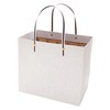 Indigo PC187 Hand Paper Bag, M, White