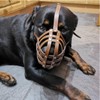 Genuine Leather Dog Muzzle for American Bully, Bully XL and
