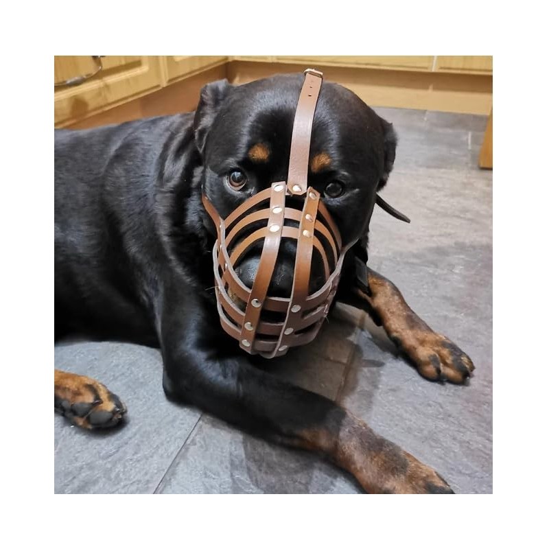 Genuine Leather Dog Muzzle for American Bully, Bully XL and
