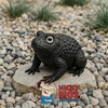 Nicky Bigs Novelties Morph Giant Rubber Black Witches Toad Halloween