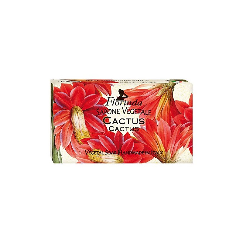 Florinda Autumn Air Cactus Vegetal Soap Bar 100 G 3.5