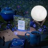 Dream Herbal Tea | Sacred Blossom Farm | 1.9 oz.