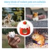 Guador Small Animal Hideout Hamster House Hamster Cave Hamster Hideout