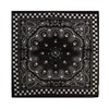 Zac's Alter Ego Skull & Paisley Bandana/Face Mask with Chessboard