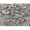 Crushed Oyster Shell, 1 Gallon