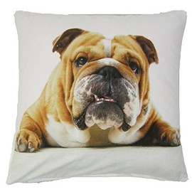 BRUTUS BRITISH BULLDOG LUXURIOUS SOFT VELVET BROWN CREAM WHITE CUSHION COVER 17"