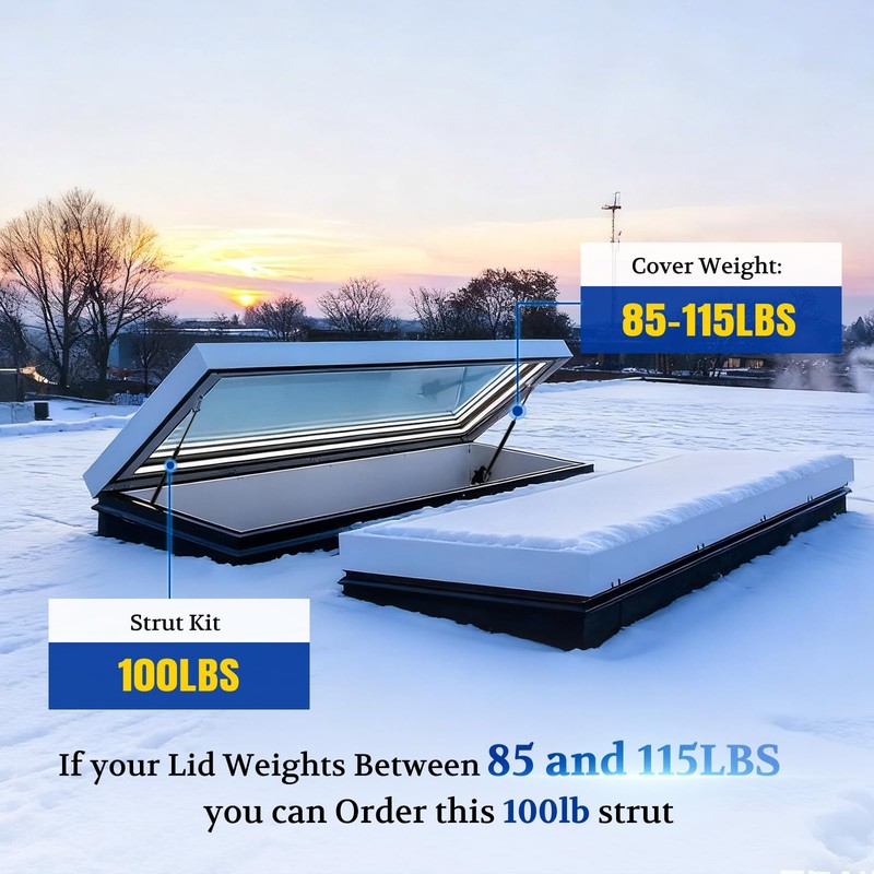 ARANA 28 inch 100 LB Gas Struts Shocks Lift Support