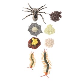 Hohopeti 2 Sets Realistic Chicken Growth Cycle Models Educational Farm Animal Cycle Toys for Boys and Girls Farm Animals Evolution Figures Cognitive Learning Supplies