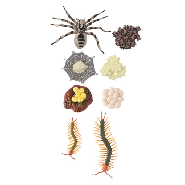 Hohopeti 2 Sets Realistic Chicken Growth Cycle Models Educational Farm