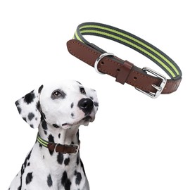 Mile High Life | Genuine Leather Dog Collar | Heavy Duty Canvas Dog Collars with Adjustable Rust-Proof Metal Pin Buckle | Boy Dog Collars for Medium Dogs(Pin Buckle-Lime Green)