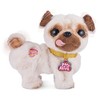 Pets Alive Poppy The Booty Shakinâ Pug â Interactive Dancing Plush Puppy by ZURU