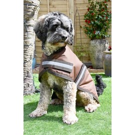 Rhinegold Waterproof Dog Coat-20(50cm)-Brown