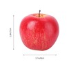 apple samples apple model artificial apple artificial fruit food sample