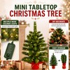 2ft Pre-lit Artificial Mini Christmas Tree,Small Xmas Tree