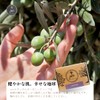 Juri Natural Organic Soap, Facial Soap, Sustainable, SDGs, Ethical, Vegan