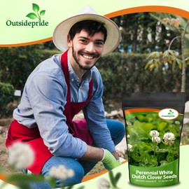 Outsidepride Outsidepride Perennial White Dutch Clover Seed - 10 lbs. Nitrocoated, Inoculated Clover Seeds for Lawn Alternative, Erosion Control, Food Plots, Ground Cover, & Pasture Mixtures in USDA Zones 3-10