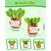 JELUTAR Crochet Positive Succulent Plant Thank You Gifts for Birthday